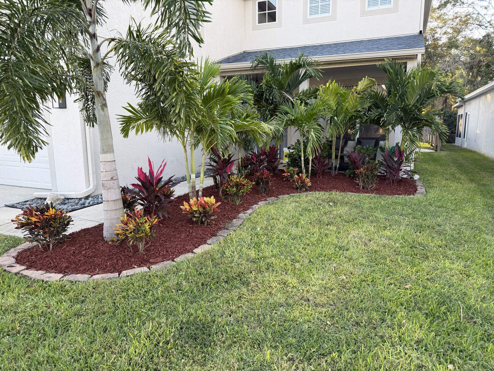 Palm and croton landscape bed with red mulch and paver edging installed in New Port Richey