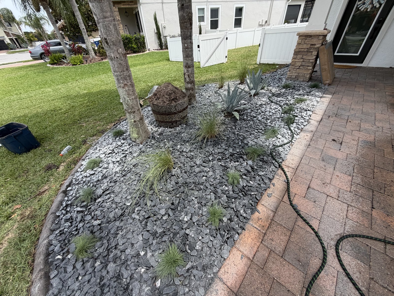 Modern black slate rock bed with ornamental grasses and agave along a paver path in New Port Richey